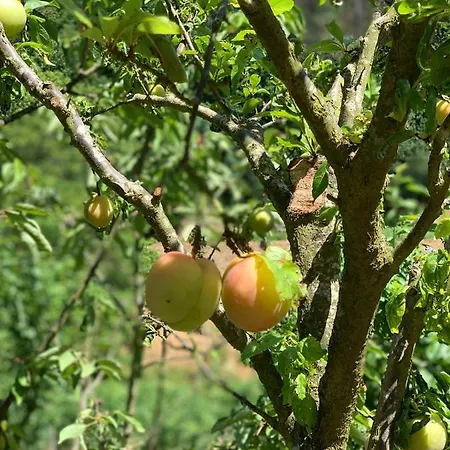 Casa vacanze Loft - Casinha à Porta