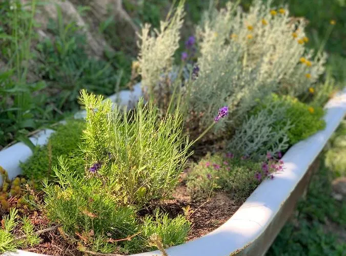 Loft - Casinha A Porta *