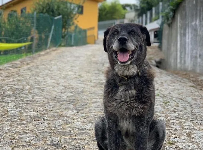 Loft - Casinha A Porta * Αρούκα